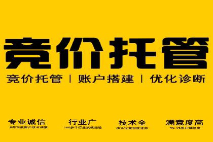 SEM竞价培训：实战案例深度解读
